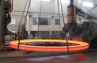 गर्म फोर्जिंग 316 304 स्टेनलेस स्टील असर रिंग स्टील रिटेनिंग रिंग: