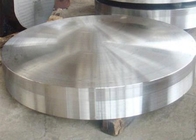 उद्योग के लिए 1500 मिमी स्टील जाली गोल धातु डिस्क